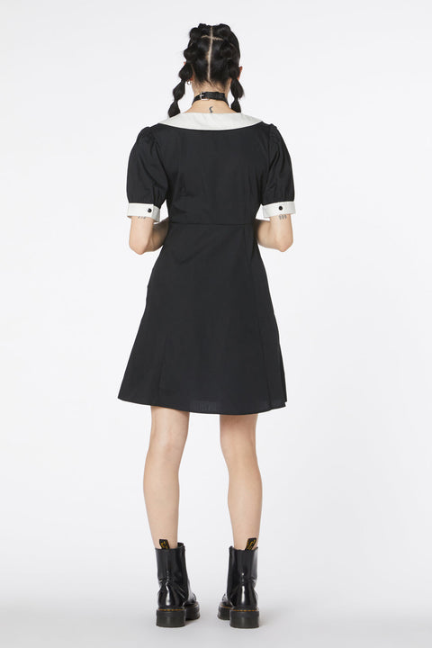 Kjole med broderi på hvalpe-1