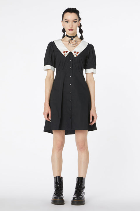 Kjole med broderi på hvalpe-2