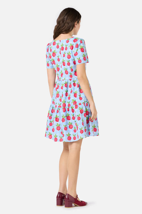 Radise Picnic Smock Kjole-2